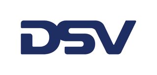 DSV logo